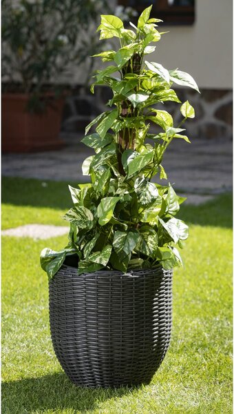 Hilversum Doniczka, technorattan/metal/tworzywo sztuczne, czarna NOELA 20052