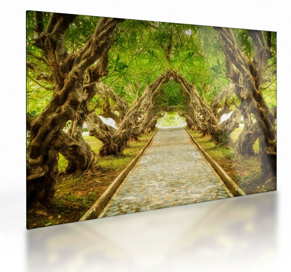 Obraz na szkle - Żywy tunel plumerii (70x50 cm)