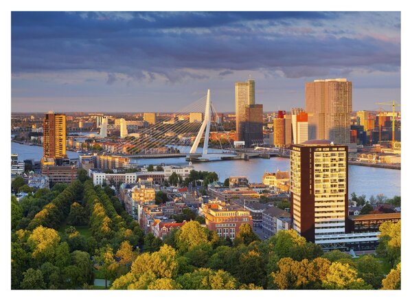 Obraz na szkle - Panorama Rotterdamu, Holandia (70x50 cm)