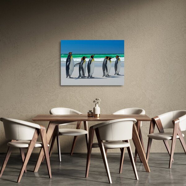 Obraz na szkle - Grupa Pingwinów królewskich (70x50 cm)