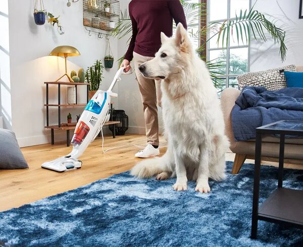 Clean & Steam Multi parowy odkurzacz z funkcją czyszczenia parą, biały, ROWENTA RY8544WH