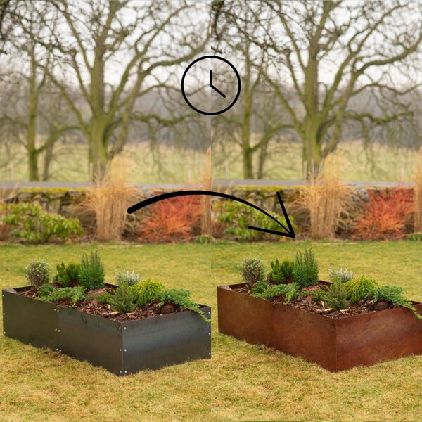 Vivo Podwyższona grządka 74 x 148 x 36 cm, corten CORGARDEN 1012