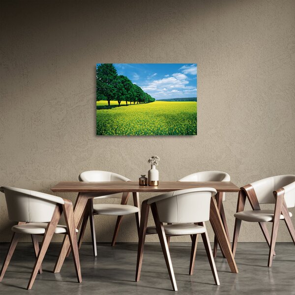 Obraz na szkle pola z aleją (70x50 cm)