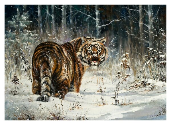 Obraz na szkle - Tygrys w zaśnieżonym lesie, obraz olejny (70x50 cm)