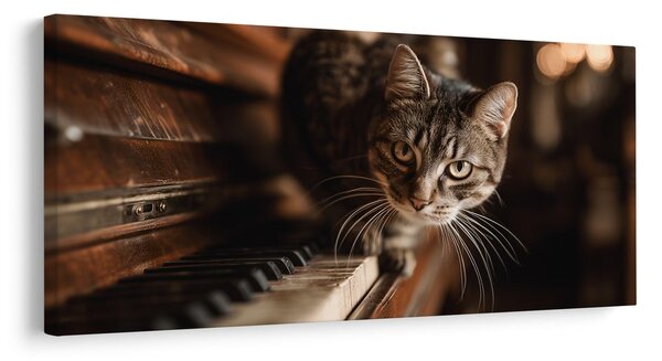 Obraz ciekawski kot na pianinie