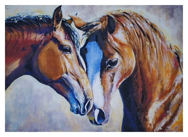 Obraz na szkle - Zakochane konie (70x50 cm)