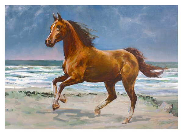 Obraz na szkle konia na plaży (70x50 cm)