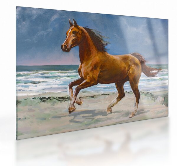 Obraz na szkle konia na plaży (70x50 cm)