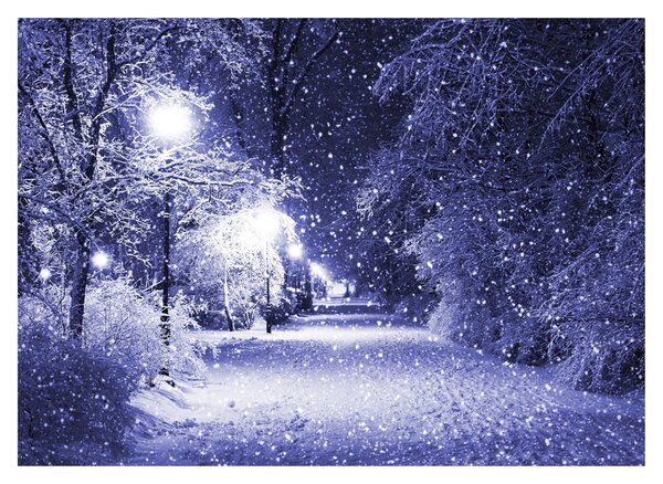 Obraz na szkle - Magiczna zimowa noc (70x50 cm)