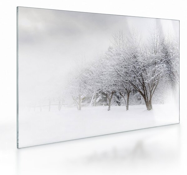 Obraz na szkle - Zimowa aleja (70x50 cm)