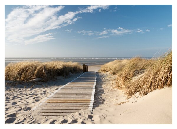 Obraz na szkle - Piaszczysta plaża na wyspie Langeoog, Niemcy (70x50 cm)