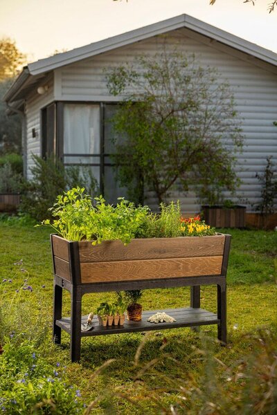 Deco Elevated Garden Bed Donica 156 × 113 × 47 cm, walnut KETER 263873