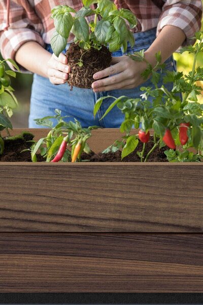 Deco Elevated Garden Bed Donica 156 × 113 × 47 cm, walnut KETER 263873
