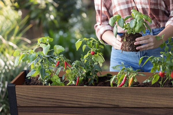 Deco Elevated Garden Bed Donica 156 × 113 × 47 cm, walnut KETER 263873
