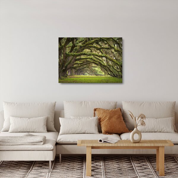 Obraz na szkle - Oaks Avenue, Charleston, Karolina Południowa, USA (70x50 cm)