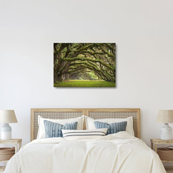 Obraz na szkle - Oaks Avenue, Charleston, Karolina Południowa, USA (70x50 cm)