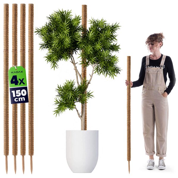 Tyczka do roślin kokosowa Cande 150 cm podpora doniczkowa 4 szt