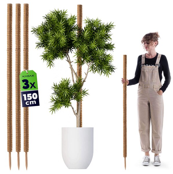 Tyczka do roślin kokosowa Cande 150 cm podpora doniczkowa 3 szt