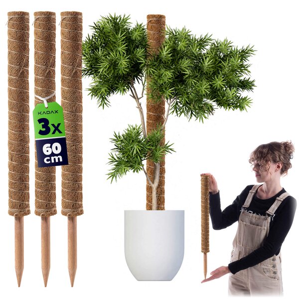 Tyczka do roślin kokosowa Cande 60 cm podpora doniczkowa 3 szt