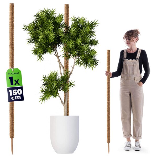 Tyczka do roślin kokosowa Cande 150 cm podpora doniczkowa 1 szt