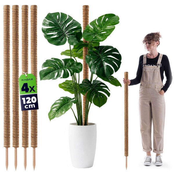 Tyczka do roślin kokosowa Cande 120 cm podpora doniczkowa 4 szt