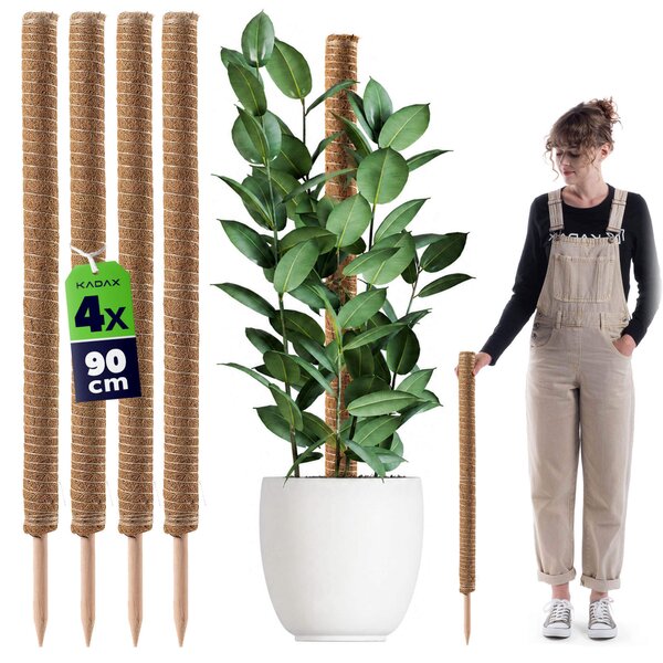 Tyczka do roślin kokosowa Cande 90 cm podpora doniczkowa 4 szt