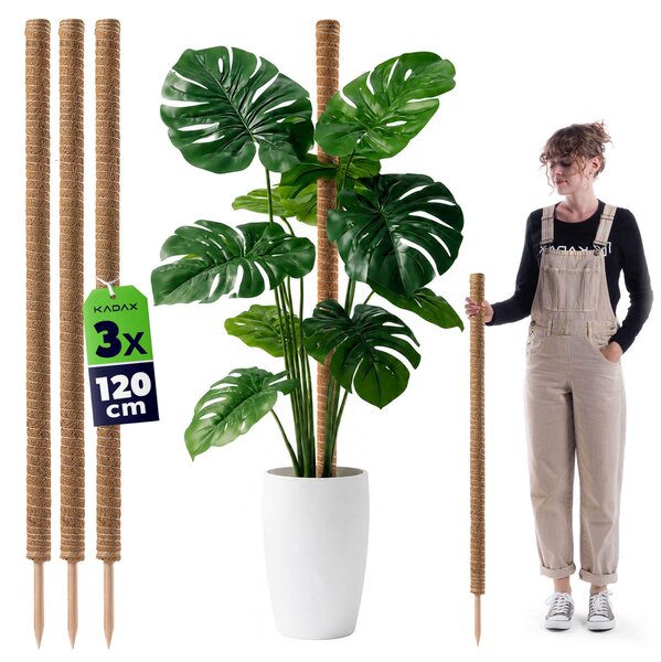 Tyczka do roślin kokosowa Cande 120 cm podpora doniczkowa 3 szt