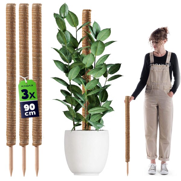 Tyczka do roślin kokosowa Cande 90 cm podpora doniczkowa 3 szt