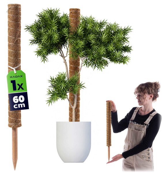 Tyczka do roślin kokosowa Cande 60 cm podpora doniczkowa 1 szt
