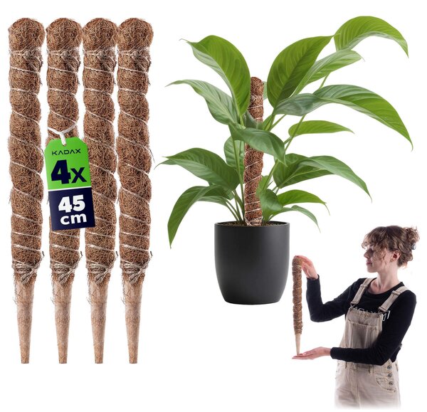 Tyczka do roślin kokosowa Cande 45 cm podpora doniczkowa 4 szt
