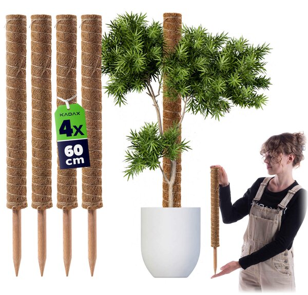 Tyczka do roślin kokosowa Cande 60 cm podpora doniczkowa 4 szt