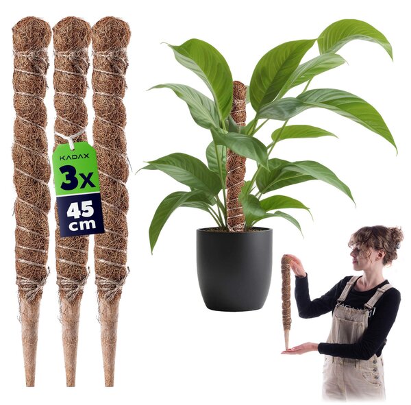 Tyczka do roślin kokosowa Cande 45 cm podpora doniczkowa 3 szt