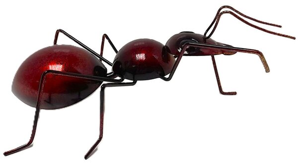Duża mrówka brązowoczerwona 24 × 11 × 7 cm PRODEX 25191