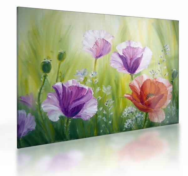 Obraz na szkle - Maki (70x50 cm)