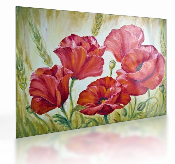 Obraz na szkle - Kwiaty maku (70x50 cm)