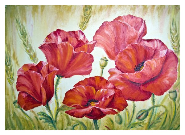 Obraz na szkle - Kwiaty maku (70x50 cm)