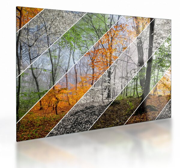 Obraz na szkle - Zmieniające się pory roku (70x50 cm)