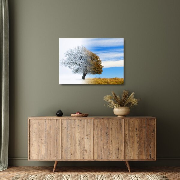Obraz na szkle - Zmiana pór roku (70x50 cm)