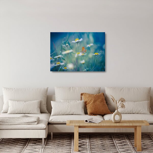 Obraz na szkle - Motyl na stokrotce (70x50 cm)