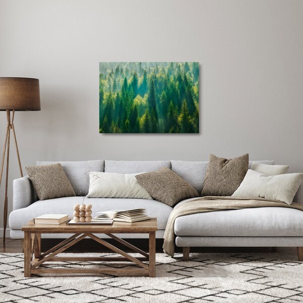 Obraz na szkle - Las sosnowy (70x50 cm)