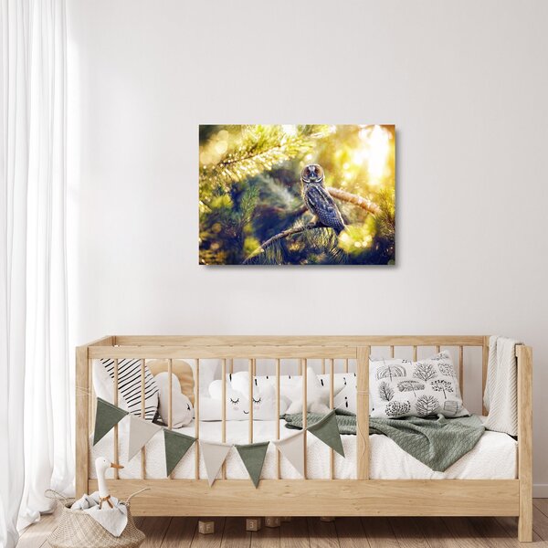 Obraz na szkle sowy na drzewie (70x50 cm)
