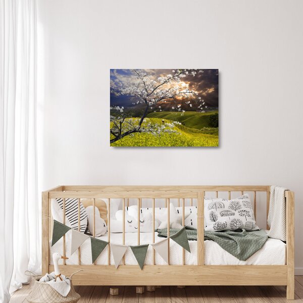 Obraz na szkle - Kwitnące drzewo w krajobrazie (70x50 cm)