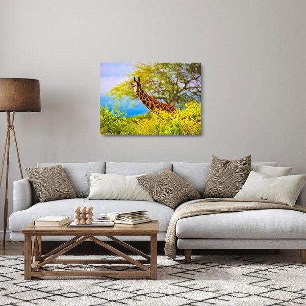Obraz na szkle żyrafy w Afryce (70x50 cm)
