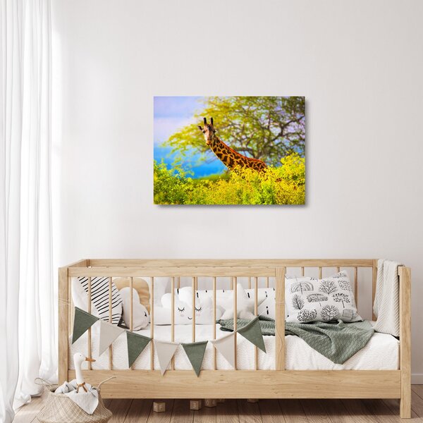 Obraz na szkle żyrafy w Afryce (70x50 cm)