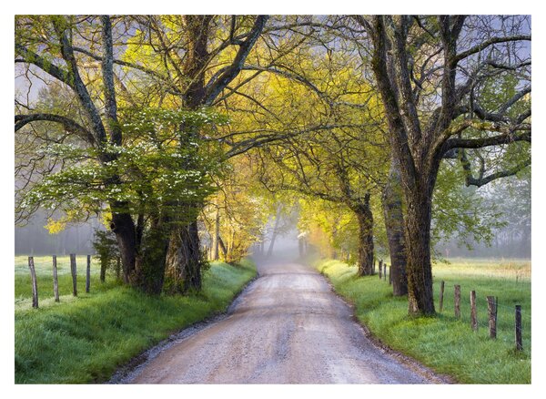 Zdjęcie - Smoky Mountains, Gatlinburg, USA (70x50 cm)