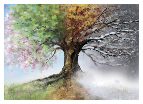 Obraz na szkle - Drzewo czterech pór roku (70x50 cm)