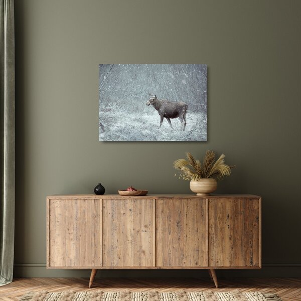 Obraz na szkle - Łoś w śnieżnym lesie (70x50 cm)