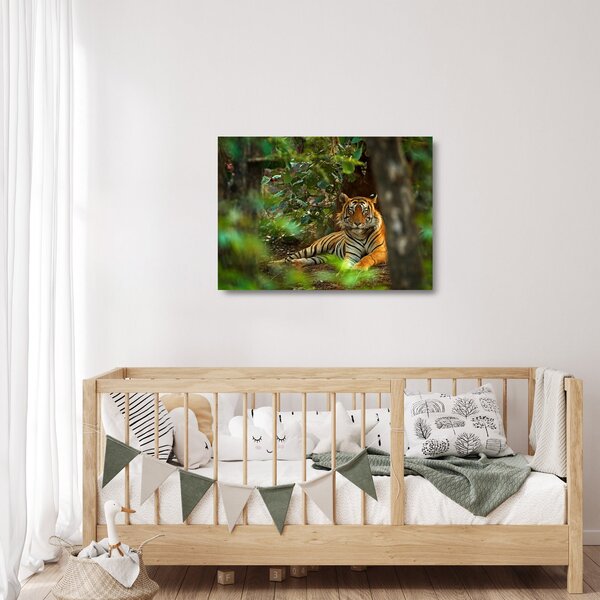 Obraz na szkle odpoczywającego tygrysa (70x50 cm)