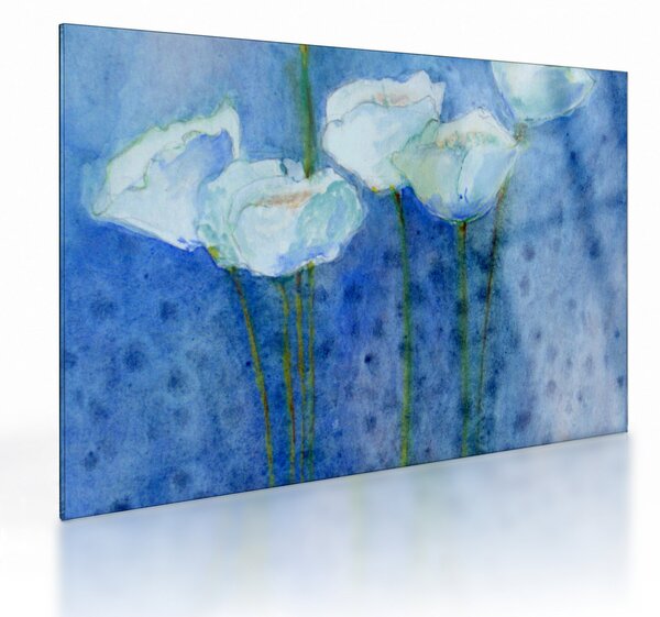 Obraz na szkle - Białe tulipany (70x50 cm)
