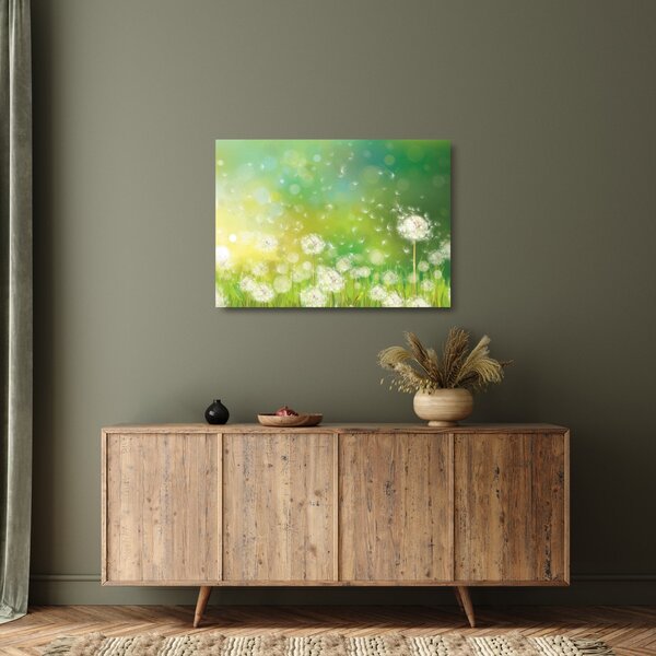 Obraz na szkle - Kwitnące mlecze (70x50 cm)